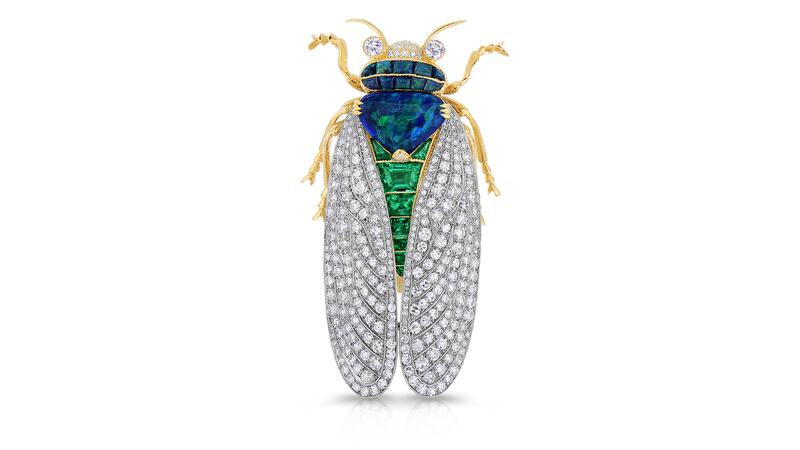 Cicada brooch