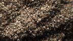 Stock image of rough diamonds from De Beers Gahcho Kue diamond mine  